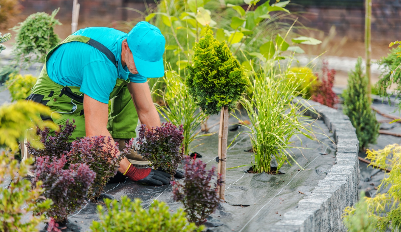 Seasonal Garden Maintenance